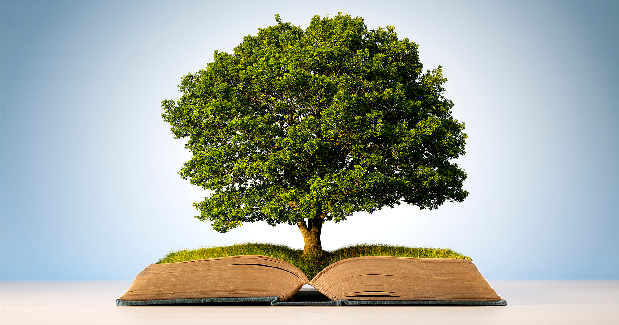 Il Giardino delle Religioni